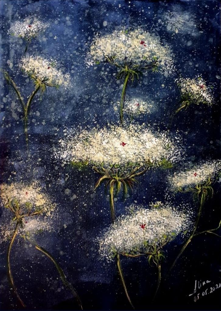 ArteDiAlina.com painting: Wild carrot